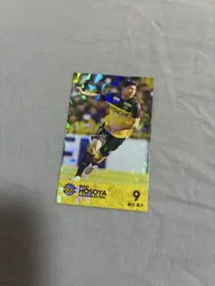 【レア】柏レイソル 細谷真大 ホログラム