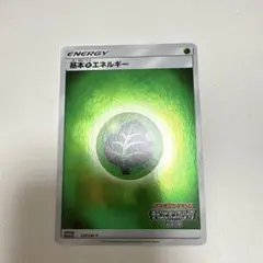 基本草エネルギー チャンピオンズリーグ2018
