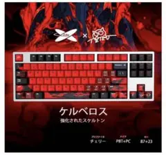 【未使用】X-TERU ケルベロスキーキャップ