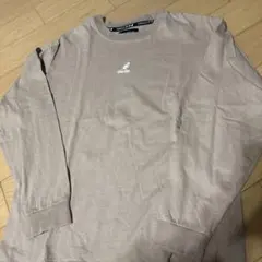 Item thumbnail for item 637c3ecf-2974-4192-afe2-869747af3b88