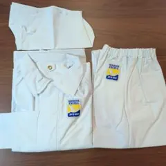 Item thumbnail for item 3ed87a1d-631a-4da5-907c-c4f743283078