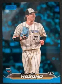 Item thumbnail for item f0421b07-7780-4084-bdf1-469a8cd6a5c3