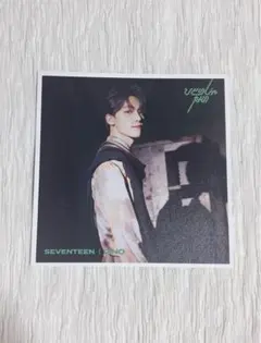 SEVENTEEN セブチ ディノ ひとりじゃない エントリーカード トレカ