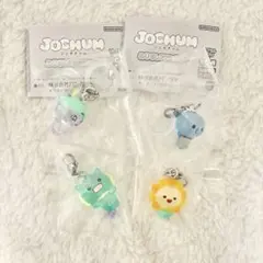 ジェオチャム めじるしアクセサリー4点おまとめ