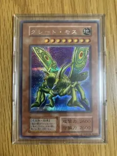 最終値下げ　美品　遊戯王　グレートモス　プラチナシークレット　貫通　初期 2025年最新】グレートモスの人気アイテム - メルカリ