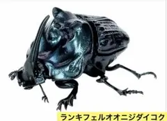 2026年最新】ランキフェルオオニジダイコクの人気アイテム - メルカリ