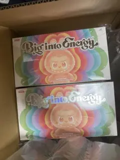 新品未開封POPMART LABUBU アソートボックス 2BOX