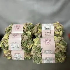 Item thumbnail for item 9ae798fa-d853-46c0-9327-ba12a94dd479