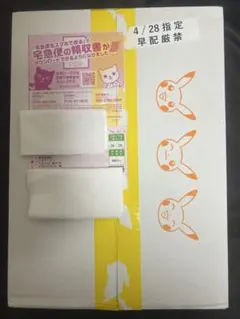 ポケモンカード スノーハザード&クレイバースト ジムセット ナンジャモセット