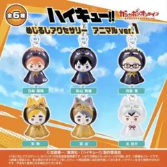 ハイキュー めじるしアクセサリー 日向翔陽