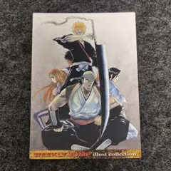 BLEACH 護廷十三隊入隊証 十番隊 - メルカリ