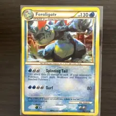 【英語版】ポケモンカード Feraligatr