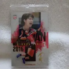 バレーボール女子日本代表ver.ツインウエハース 木村沙織
