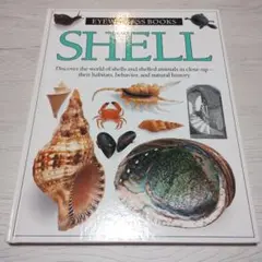 SHELL Eyewitness Books 洋書 英語 図鑑 貝のサムネイル