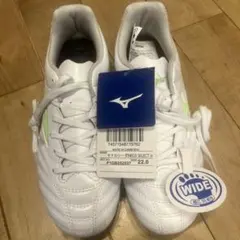 Item thumbnail for item 146028a6-6da8-4bbd-987a-bbb3dc0da22e