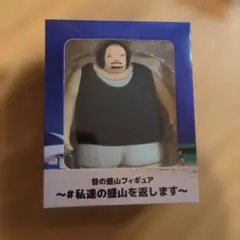 見取り図 昔の盛山 フィギュア 私達の盛山を返します - メルカリ