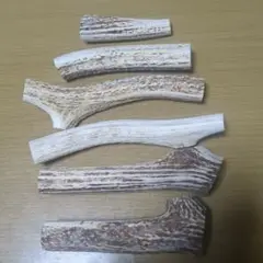 鹿の角　6本セット　エゾシカ　天然