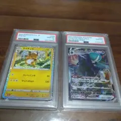 ライチュウCLLとこくばバドレックスの2点セット