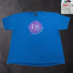【大人気XL】フルーツオブザルーム 企業物 Tシャツ スカイブルー ゆるだぼ
