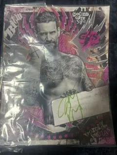 WWE CMパンク 直筆サインフォト 2025日本公演公式グッズ