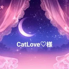 CatLove♡様 リクエスト 2点 まとめ商品