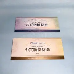ヤマダ電機 優待券（計10,000円分）