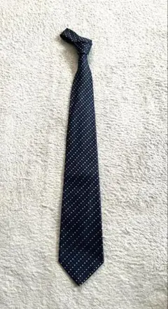 Item thumbnail for item 742961d5-8a7d-497a-af15-122d8cf7d1d5