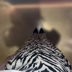 【JANE SMITH】ZEBRAWRAPスカート　IENAのサムネイル