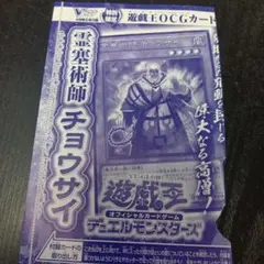 Vジャンプ付録 遊戯王OCGカード 聖月の魔導士 エンディミオン - メルカリ