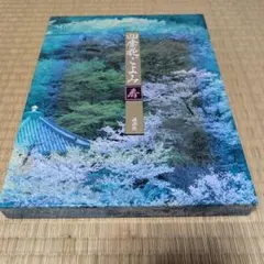 千住博画集 水の音 小学館 大型本 日本画 - メルカリ