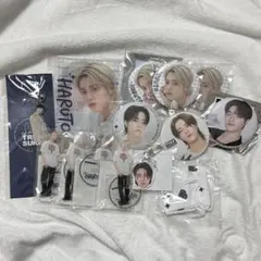 treasure ハルト 缶バッジ アクスタ グッズ セット