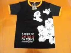 LEGOレゴの半袖Ｔシャツのサムネイル