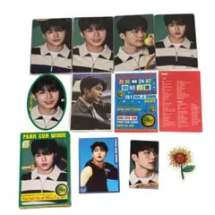 ゼベワン　パクゴヌク　トレカ