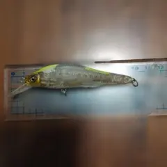 メガバス X 80 sw ？のサムネイル