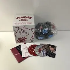 ボイスキーリング　ソヌ【おまけトレカ付き】