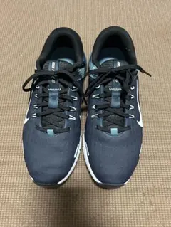 Nike フリーゴルフ　NN