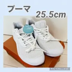 新品　プーマ スニーカー 25.5cm 白　ホワイト