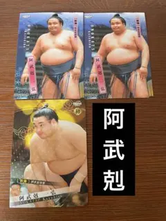 Item thumbnail for item c44799b9-dcab-4bbf-b539-8425a2ab9791