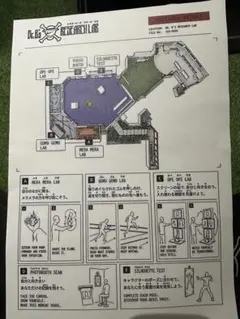 Dr.B's RESEARCH LAB 研究レポート ワンピース NIKE