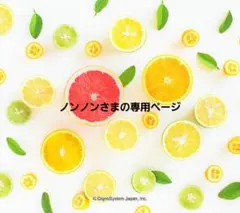 ノンノン様専用ページ　スセミ　韓国たわし