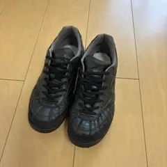 2026年最新】モレリア tfの人気アイテム - メルカリ