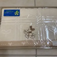 Item thumbnail for item c164e7dc-cc08-4364-8a47-f5567adbaf6e