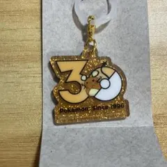 ポケモン ポケチャーム 30周年 ロゴマスコット デデンネ