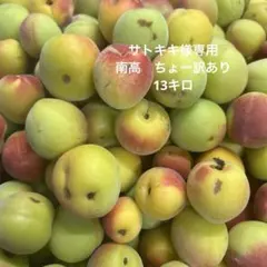 サトキキ様専用　南高　ちょー訳あり　13キロ