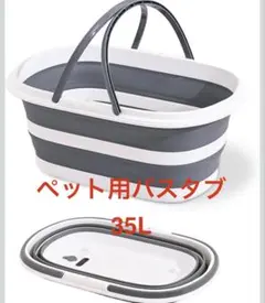 Item thumbnail for item c80af65b-c9e8-4e21-99e1-96e777ad9141