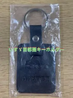 2026年最新】いすゞ 車 アクセサリーの人気アイテム - メルカリ