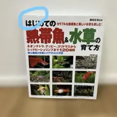 はじめての熱帯魚&水草の育て方