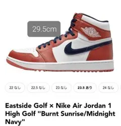 Air Jordan 1 High OG NRG 11.5
