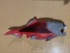 (たかさん専用) アンドコ　ダンクルオステウス