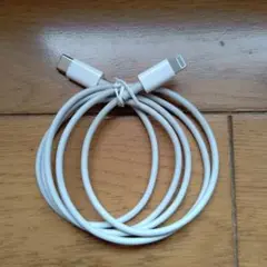 Apple 純正Lightning typeCケーブル